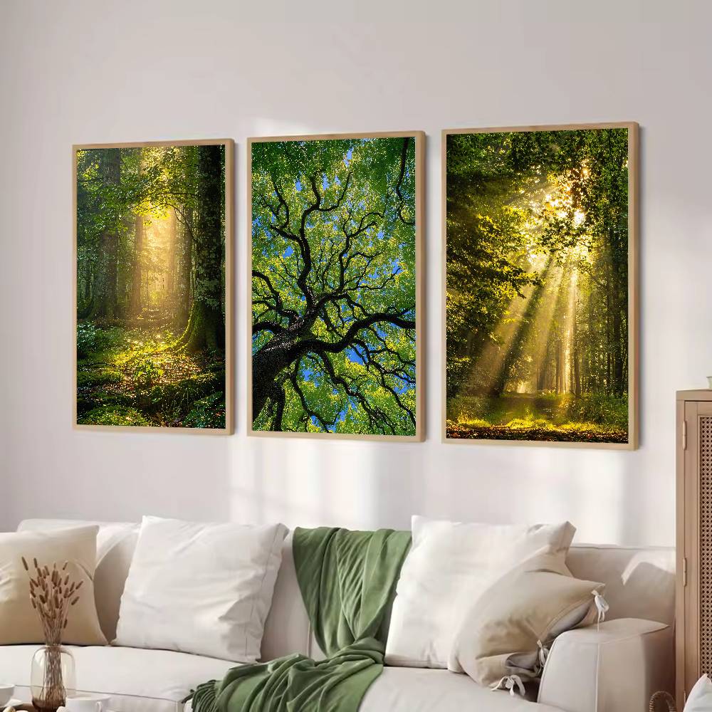 Zonnestraal Bos Natuur Poster, - Wall Decor Lighting Tree recensie en prijs