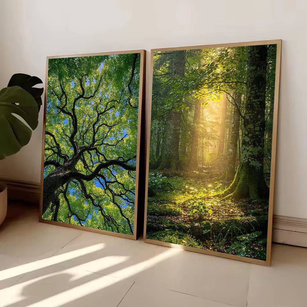 Zonnestraal Bos Natuur Poster, - Wall Decor Lighting Tree recensie en prijs