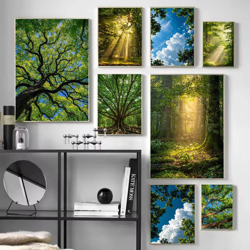 Zonnestraal Bos Natuur Poster, - Wall Decor Lighting Tree recensie en prijs